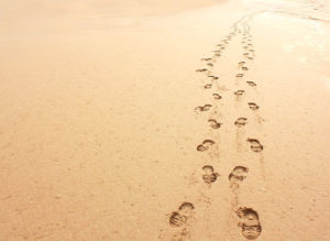 The Powerful Legacy of Mentoring