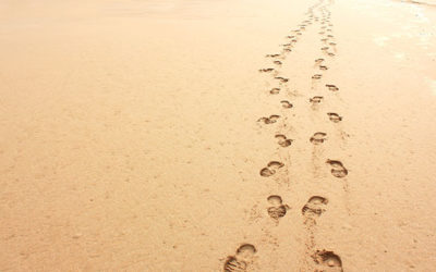 The Powerful Legacy of Mentoring